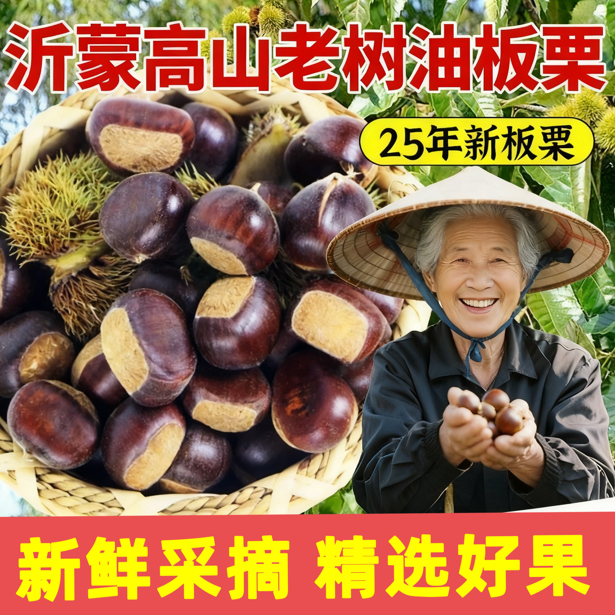新鲜生板栗沂蒙山黄壤油栗2026新下树孕妇当季现摘老树野生毛栗子