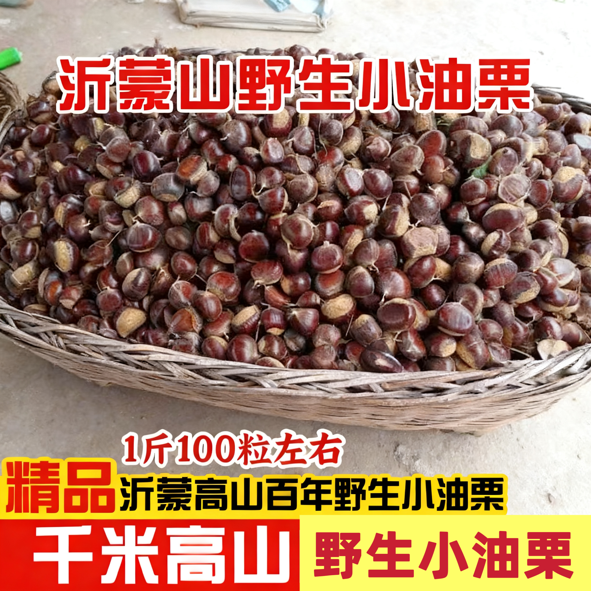 沂蒙山新鲜野生小油栗2025年老树小板栗小栗子软糯香甜内皮易去