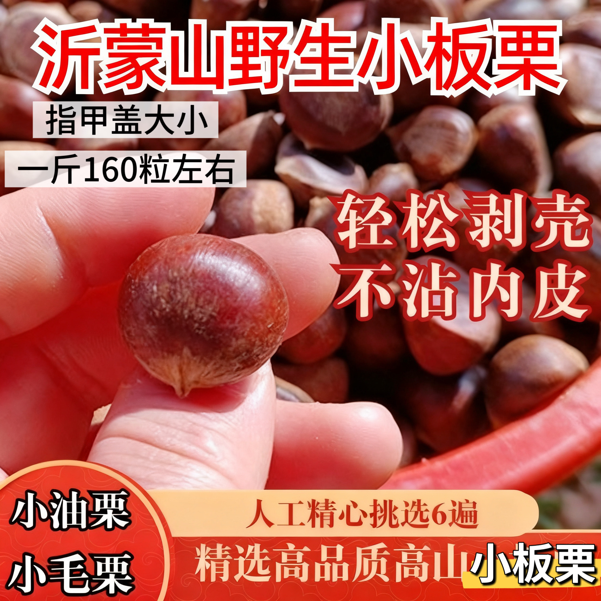 正宗山东板栗生新鲜2026年栗子带壳沂蒙山野生小板栗油栗鲜板栗