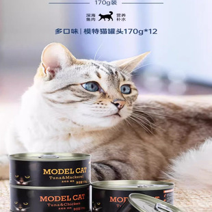 麦富迪模特猫红肉罐头170g*12罐成幼猫罐头补水营养增肥发腮湿粮