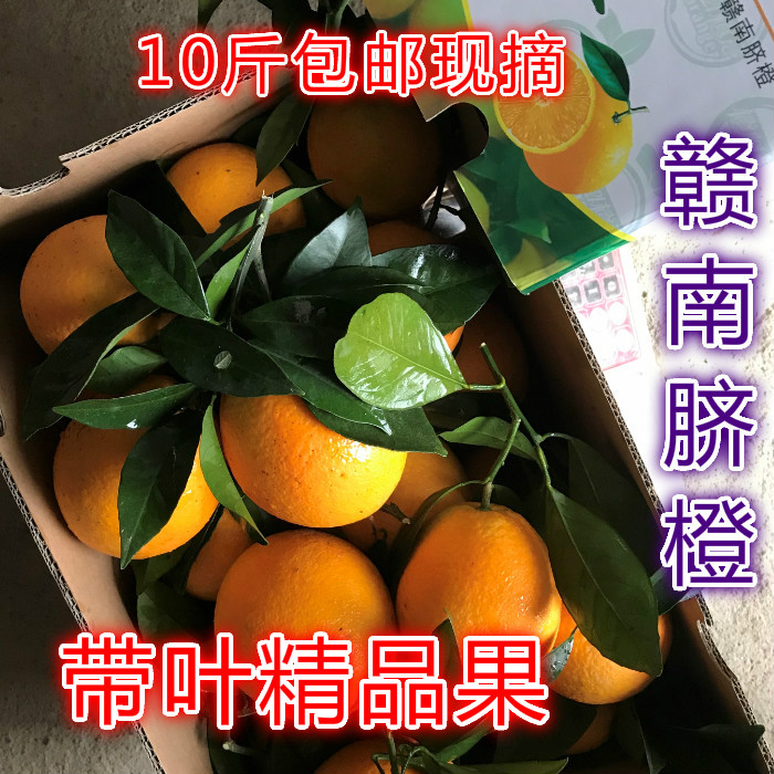 江西赣南脐橙褚橙新鲜橙子榨汁孕妇安远农家10斤包邮现摘精品果