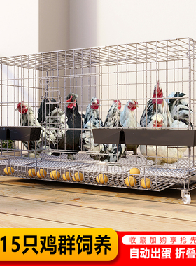 鸡笼子家用养殖笼喂鸡特大号养鸡笼室外自动清粪大号滚蛋鸡鸭鹅笼