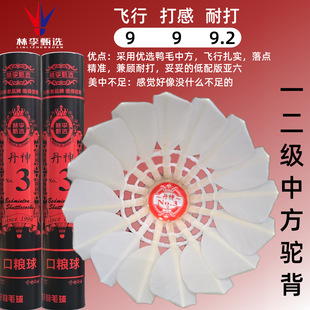林李甄选丹神3号驼背中方平替业余初学耐打羽毛球飞行稳定口粮球