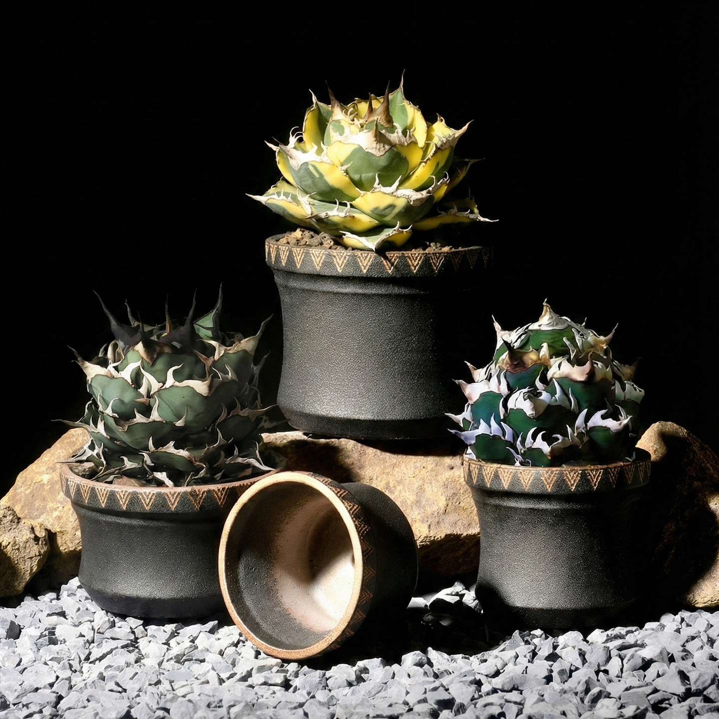 沙生块根植物时尚个性藤原浩网红ins黑金潮玩花盆手工象足盆有孔