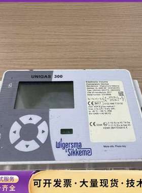 Wigersma & Sikkema UNIGAS 300电询价