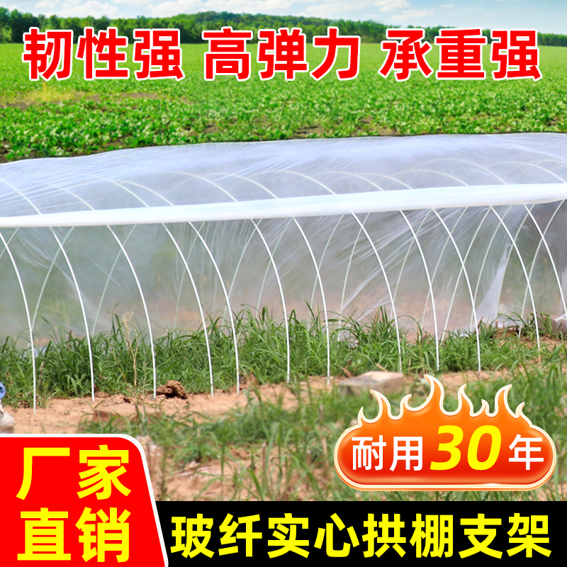 农用小拱棚支架保温棚菜棚杆遮阳防虫网架玻璃钢弹力棒爬藤豆角架