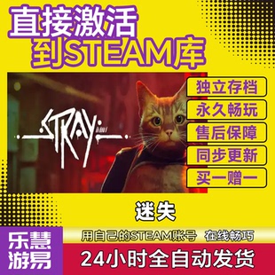 国区全球区 Steam正版 CDK入库 激活码 在线中文全DLC 迷失猫Stray