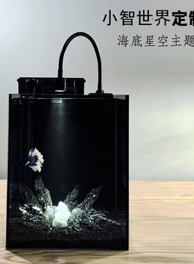 小智世界海底星空桌面迷你小型造景鱼缸定制全套生态循环缸免换水