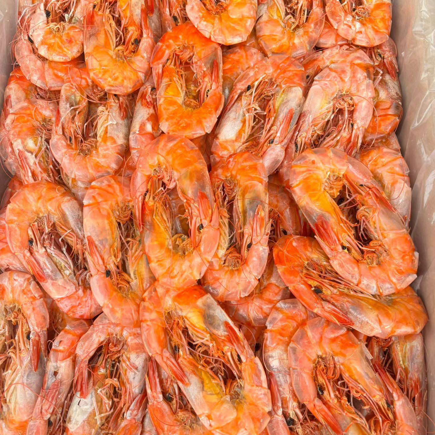 日照特产烤虾干即食烤虾干货200克装送礼海鲜干货休闲零食