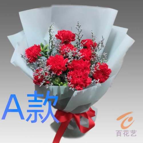 生日贺寿康乃馨广东揭阳花店送花揭东县揭西县惠来县同城鲜花速递