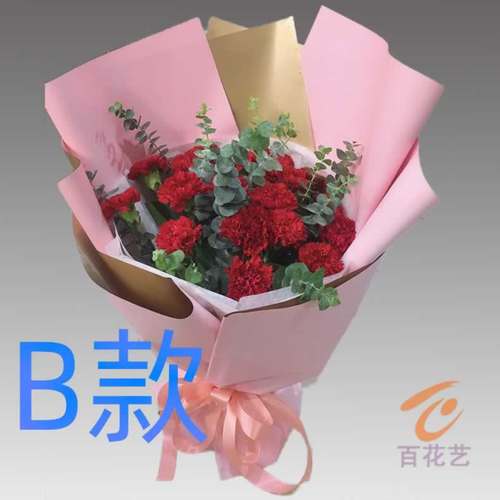 生日纪念康乃馨陕西咸阳花店送花淳化县武功县兴平市同城鲜花快递