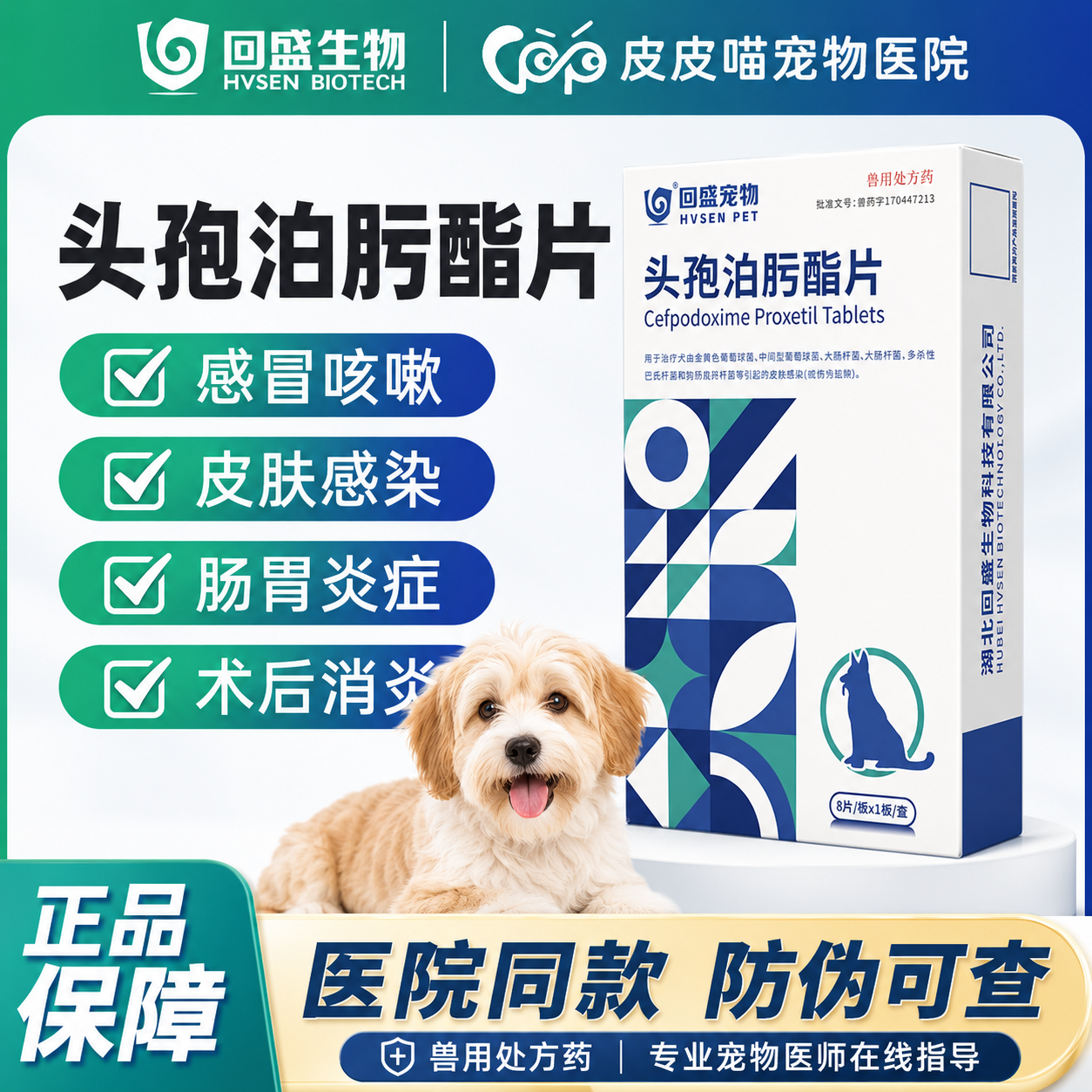 回盛生物头孢泊肟酯片宠物感冒消炎药狗狗猫咪细菌感染皮肤病泌尿