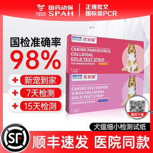 细小犬瘟试纸宠物狗狗细小测试纸狗狗检测试纸犬瘟热