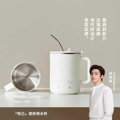 olayks小型养生壶煮茶炖煮一体