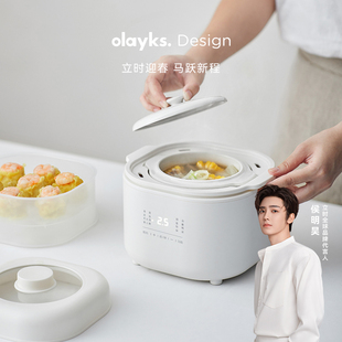olayks立时电炖锅燕窝小炖盅隔水炖家用煲汤宝宝煮粥锅婴儿辅食锅