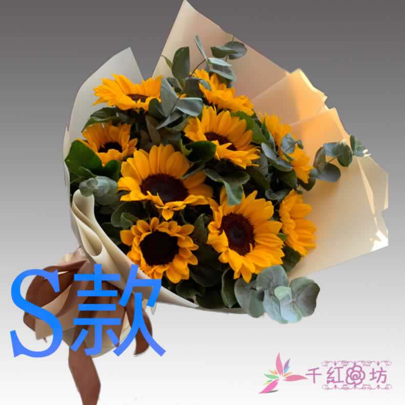 生日周年康乃馨黑龙江绥化订花店送花绥化市安达市肇东市鲜花速递
