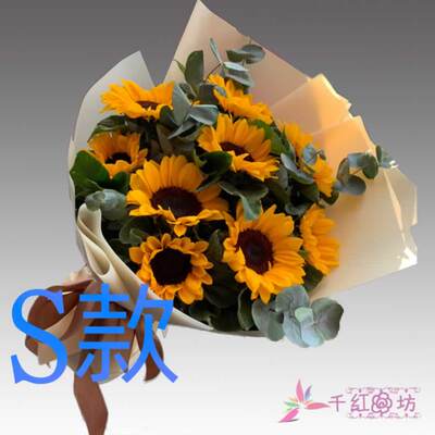 生日慰问康乃馨黑龙江佳木斯花店送花汤原县抚远县同江市鲜花速递