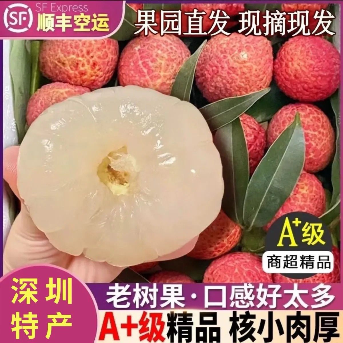 【顺丰】正宗深圳南山荔枝桂味
