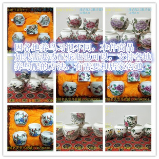 三道眉柳莺鸟罐 绣眼鸟杯 金丝鸟食罐 贝子鸟食罐 黄腾鸟食罐鸟碗