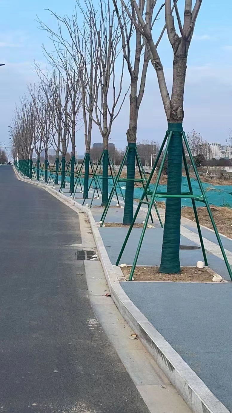 树木支撑架园林道路绿化苗木固定器
