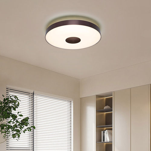 【送装】卧室/客厅吸顶灯新中式