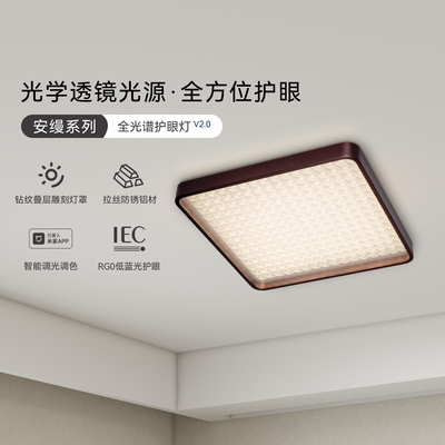新特丽长方形客厅吸顶灯轻奢大气中山灯具简约现代厨房卧室主灯