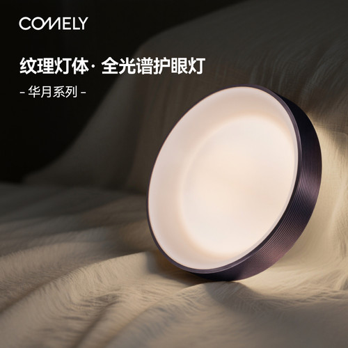 新特丽超大出光面客厅吸顶灯