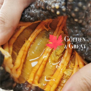 加拿大进口野生北极淡干海参约60头1磅送礼盒孕妇安全家庭装