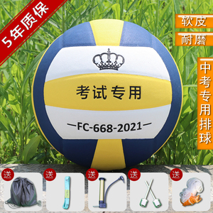 中考排球5号专用比赛训练室内外