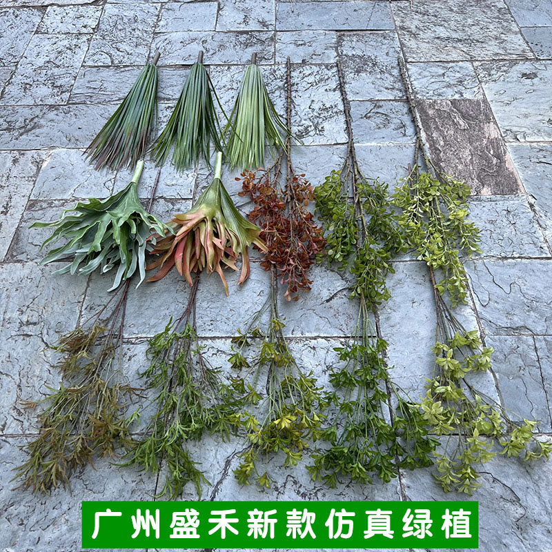 九里香婚庆广州尤加利