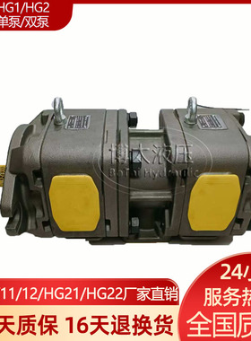 海特克内啮合齿轮泵HG2-80/100/125/160-01R-VPC SUNNY伺服油泵现
