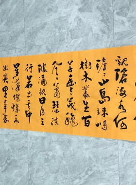 王忠华手写书法 行草观沧海  办公室客厅茶室书房大堂装饰字画
