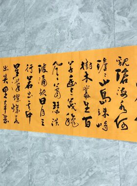 王忠华手写书法 行草观沧海  办公室客厅茶室书房大堂装饰字画
