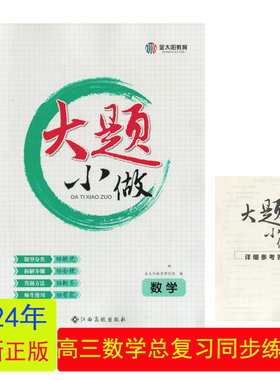 2024新教材大题小做数学