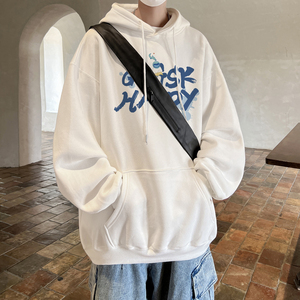 已注册/华棉秋季港风潮流连帽卫衣男生宽松上衣打底衫 WY1234/P50图片