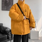 已注册/冬季新印花立领棉衣男生加厚棉服棉袄外套WY3553/P100，男装棉衣，电商B316