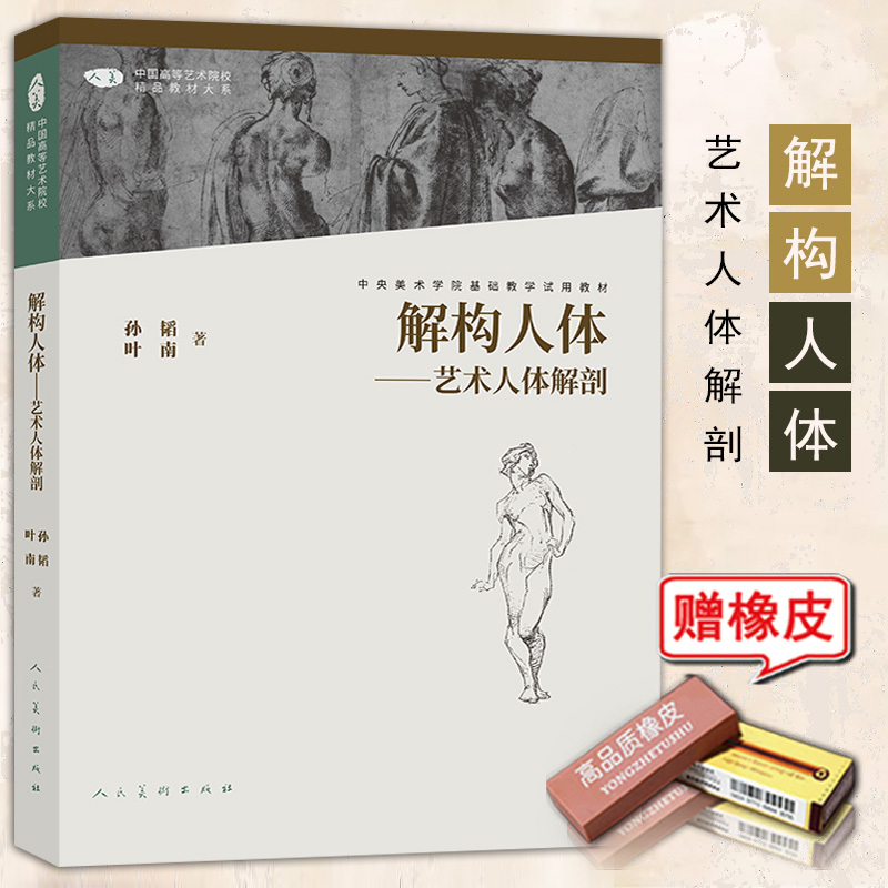 解构人体艺术素描速写绘画