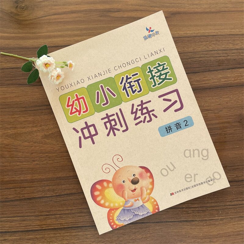【满45包邮】幼小衔接冲刺练习拼音2学前测试卷过关大班学前班练习册小学入学准备教材幼升小复
