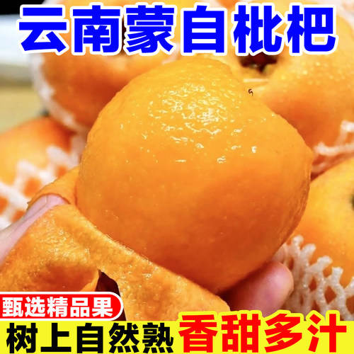 云南蒙自枇杷鲜果当季现摘高山长虹枇杷新鲜琵琶孕妇水果甜批把果