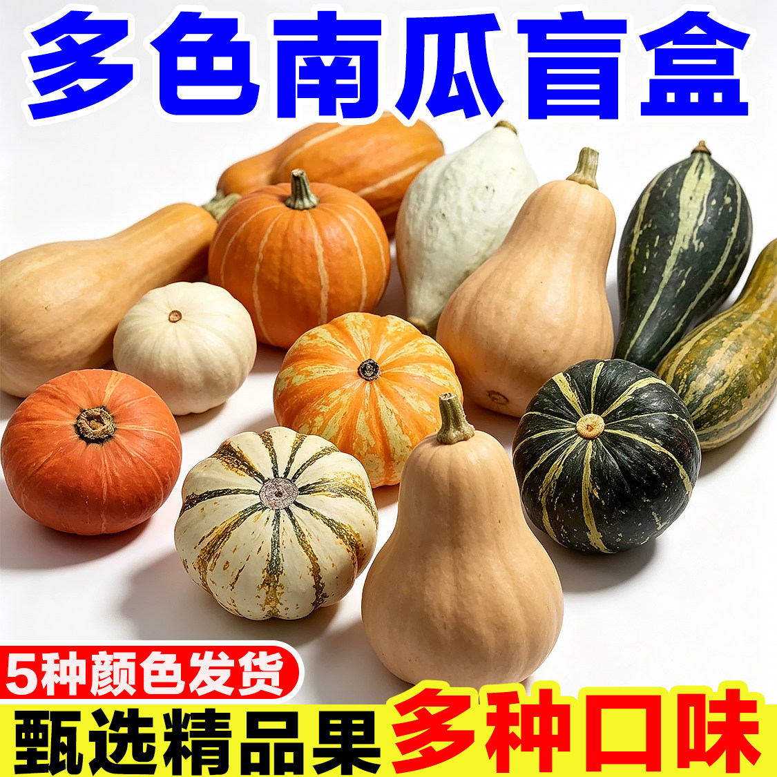 南瓜盲盒正宗奶油贝贝南瓜桔瓜金贝贝榴莲南瓜组合装多色贝贝南瓜