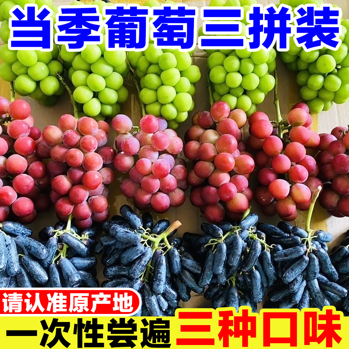 葡萄三拼装正宗妮娜皇后葡萄新鲜玫瑰阳光金手指蓝宝石葡萄组合装