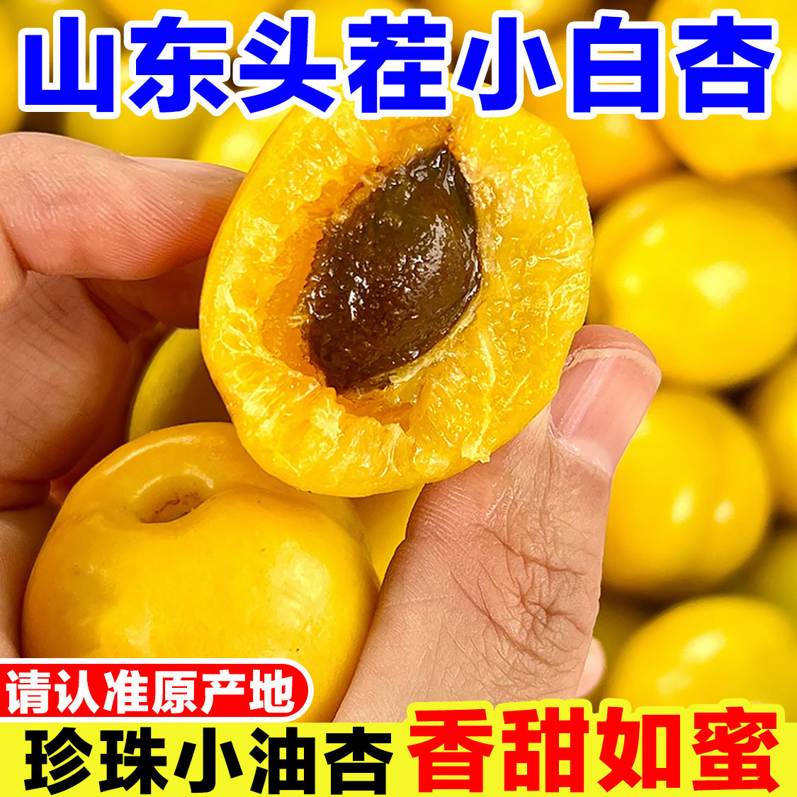 山东小白杏新鲜当季孕妇水果现摘珍珠小油杏非新疆甜杏子鲜果整箱