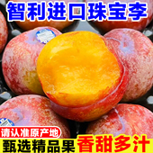 智利进口珠宝李新鲜李子当季 孕妇水果太阳李西梅樱桃李黄肉恐龙蛋