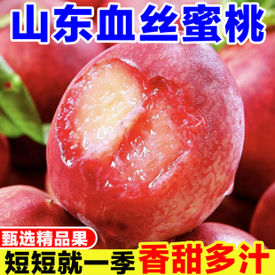山东血丝蜜桃新鲜当季孕妇水果现摘蒙阴水蜜桃甜毛桃血桃红肉桃子