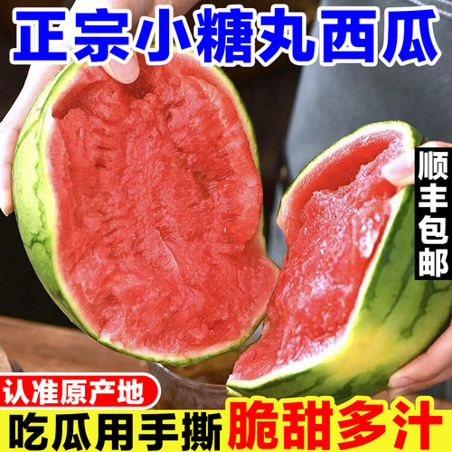 小糖丸西瓜新鲜当季水果现摘手剥西瓜薄皮甘美4k西瓜迷你小西瓜