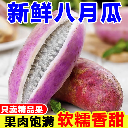 野生八月瓜新鲜当季现摘八月炸香瓜罕见稀有网红水果牛卵坨预知子