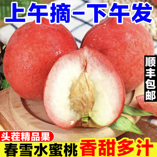 春雪水蜜桃新鲜桃子当季孕妇水果现摘脆桃冬毛桃整箱非阳山桃子