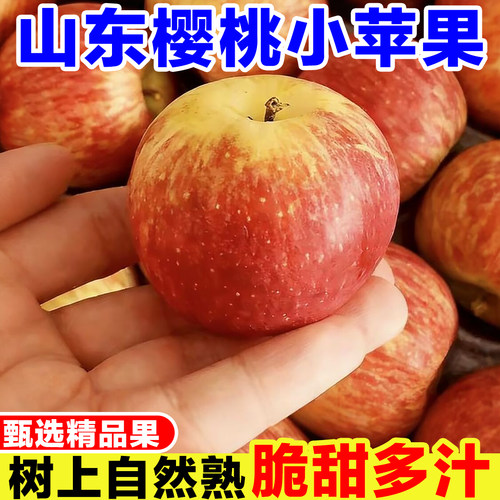 山东樱桃小苹果新鲜迷你苹果当季水果现摘冰糖心苹果红富士丑苹果