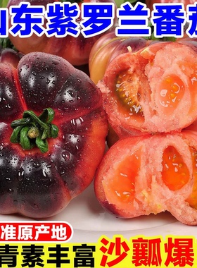 山东紫罗兰番茄新鲜紫元帅西红柿黑紫色丑番茄马蹄柿子沙瓤西红柿