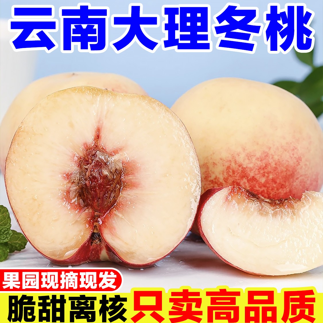 云南大理冬桃新鲜桃子当季孕妇水果现摘脆桃甜桃离核毛桃冬雪蜜桃